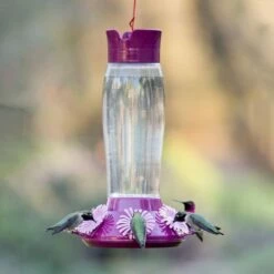 Perky-Pet® Top-Fill Hummer's Favorite Glass Hummingbird Feeder -birds Shop 9203 6 a 3a