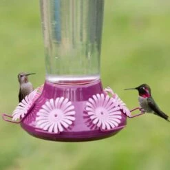 Perky-Pet® Top-Fill Hummer's Favorite Glass Hummingbird Feeder -birds Shop 9203 6 a 4a