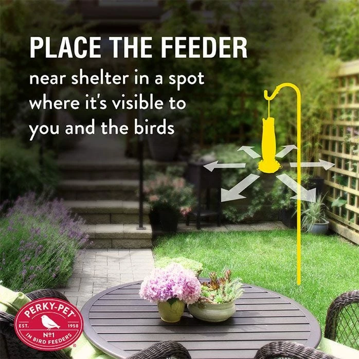 Perky-Pet® Top-Fill Grand Master Plastic Hummingbird Feeder - 48 Oz 10 Perky-Pet® Top-Fill Grand Master Plastic Hummingbird Feeder - 48 Oz - Image 10