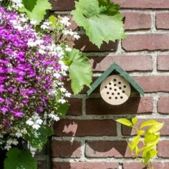 Bee Hotel Pantelleria -birds Shop 92119 jvg 9084