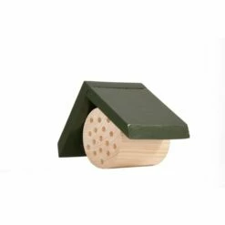 Bee Hotel Pantelleria -birds Shop 92119 mobeehotelpantelleria qm 0138