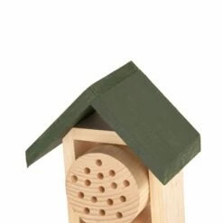 Bee Hotel Ustica -birds Shop 92120 3