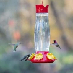 Perky-Pet® Top-Fill Grand Master Plastic Hummingbird Feeder - 48 Oz 31 Perky-Pet® Top-Fill Grand Master Plastic Hummingbird Feeder - 48 Oz -birds Shop 9214 6 12