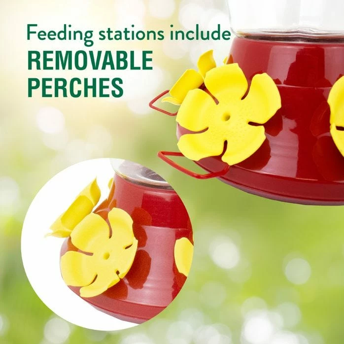 Perky-Pet® Top-Fill Grand Master Plastic Hummingbird Feeder - 48 Oz 5 Perky-Pet® Top-Fill Grand Master Plastic Hummingbird Feeder - 48 Oz - Image 5