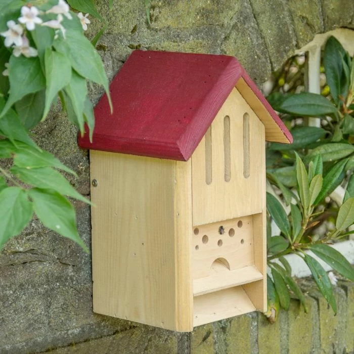 Butterfly And Bee Hotel 2 Butterfly And Bee Hotel - Image 2