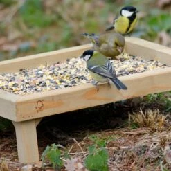 Premium Table Bird Seed Mix -birds Shop 93035 13045 2