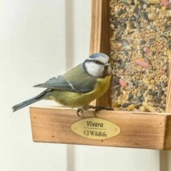 Premium Table Bird Seed Mix -birds Shop 93065 13045 2