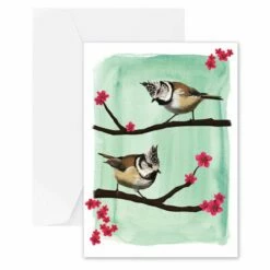 Myrte Crested Tit Card -birds Shop 93573 myrte crested titmouse card 03