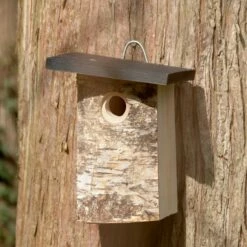 Bergen 32mm Nest Box -birds Shop 93598 4