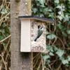 Bergen 32mm Nest Box