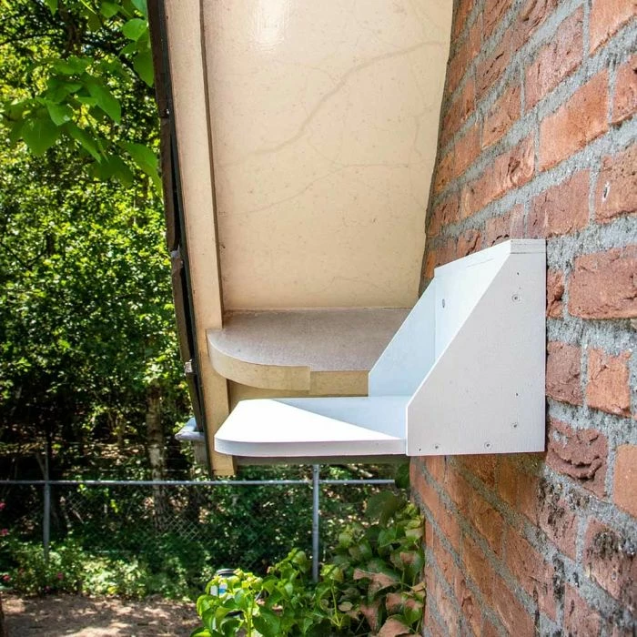 Dropping Board For Swallow And House Martin Nests 2 Dropping Board For Swallow And House Martin Nests - Image 2