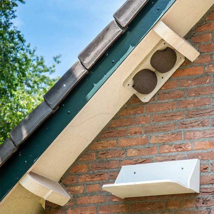 Dropping Board For Swallow And House Martin Nests 1 Dropping Board For Swallow And House Martin Nests