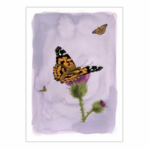 Myrte Painted Lady Butterfly Card -birds Shop 951290119 wenskaart distelvlinder myrte