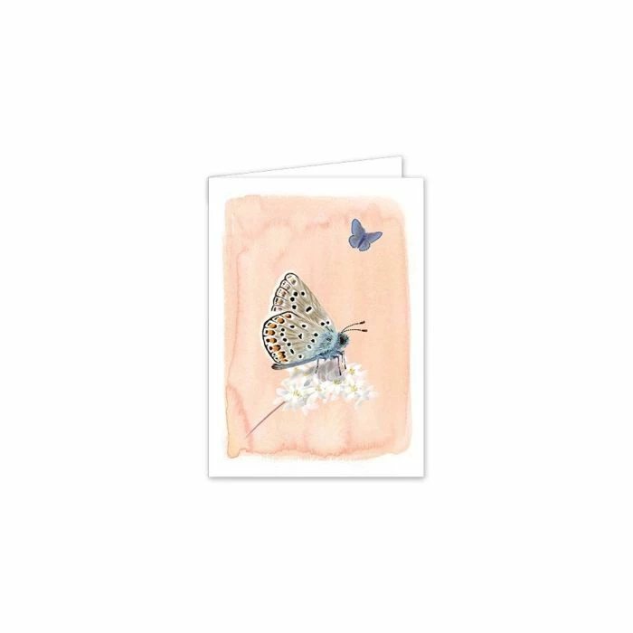 Myrte Common Blue Butterfly Card 2 Myrte Common Blue Butterfly Card - Image 2