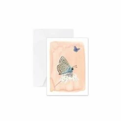 Myrte Common Blue Butterfly Card 5 Myrte Common Blue Butterfly Card -birds Shop 951360119 wenskaart icarusblauwtje myrte 02