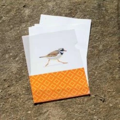 Great Ringed Plover L-Folder By Elwin Van Der Kolk