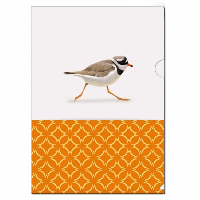 Great Ringed Plover L-Folder By Elwin Van Der Kolk 2 Great Ringed Plover L-Folder By Elwin Van Der Kolk - Image 2