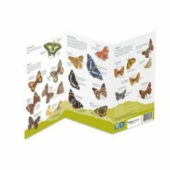 National Trust Butterfly ID Chart -birds Shop 972420121 dv02