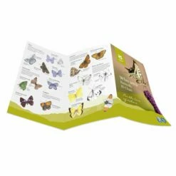 National Trust Butterfly ID Chart -birds Shop 972420121 dv03