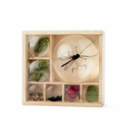 Huckleberry Insect Box -birds Shop 973290119 1