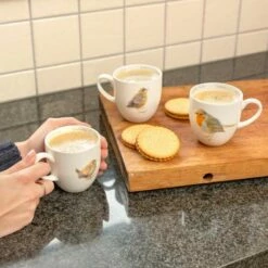 Robin Mug By Elwin Van Der Kolk -birds Shop 97930 97937 97933 1