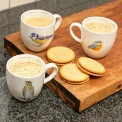 Song Thrush Mug By Elwin Van Der Kolk 7 Song Thrush Mug By Elwin Van Der Kolk -birds Shop 97932 97936 97931 1