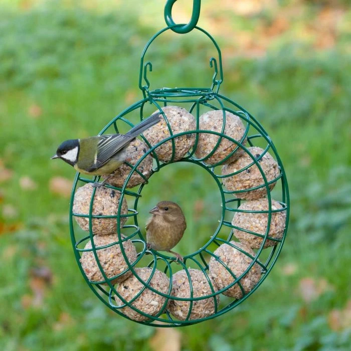 Fat Balls With Mealworms - 6 Pack 2 Fat Balls With Mealworms - 6 Pack - Image 2