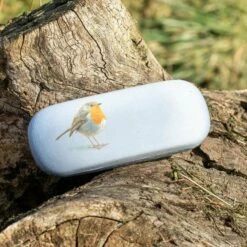 Robin Glasses Case By Elwin Van Der Kolk -birds Shop 985320119 02