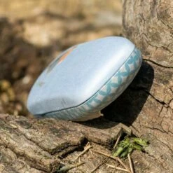 Robin Glasses Case By Elwin Van Der Kolk -birds Shop 985320119 03