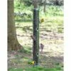 Droll Yankees® Classic B-Series Tube Bird Feeder - 4 Lb