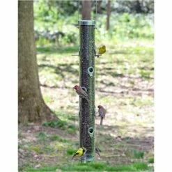 Droll Yankees® Classic B-Series Tube Bird Feeder - 4 Lb