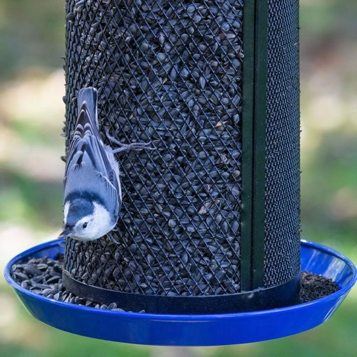 Perky-Pet® Large Dual Mesh Seed Feeder Cobalt Blue 12 Perky-Pet® Large Dual Mesh Seed Feeder Cobalt Blue - Image 12