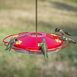 Perky-Pet® Oasis Hummingbird Feeder