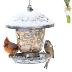 Perky-Pet® Holly Berry Gilded Chalet Wild Bird Feeder -birds Shop bf us 305 3