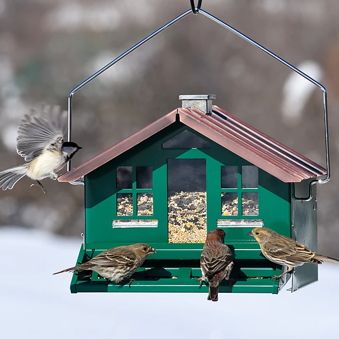 Perky-Pet® Squirrel-Be-Gone II Home Style Wild Bird Feeder 11 Perky-Pet® Squirrel-Be-Gone II Home Style Wild Bird Feeder - Image 11