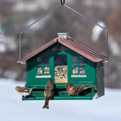 Perky-Pet® Squirrel-Be-Gone II Home Style Wild Bird Feeder 23 Perky-Pet® Squirrel-Be-Gone II Home Style Wild Bird Feeder -birds Shop bf us 339 3b