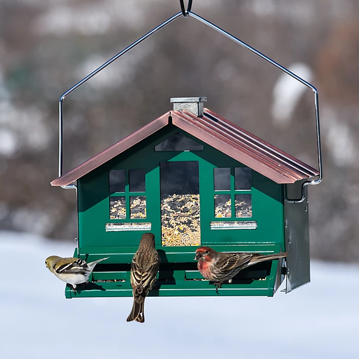 Perky-Pet® Squirrel-Be-Gone II Home Style Wild Bird Feeder 12 Perky-Pet® Squirrel-Be-Gone II Home Style Wild Bird Feeder - Image 12