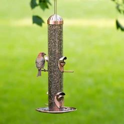 Perky-Pet® Copper Finish 2-in-1 Wild Bird Feeder 8 Perky-Pet® Copper Finish 2-in-1 Wild Bird Feeder -birds Shop bf us 385 2 2a
