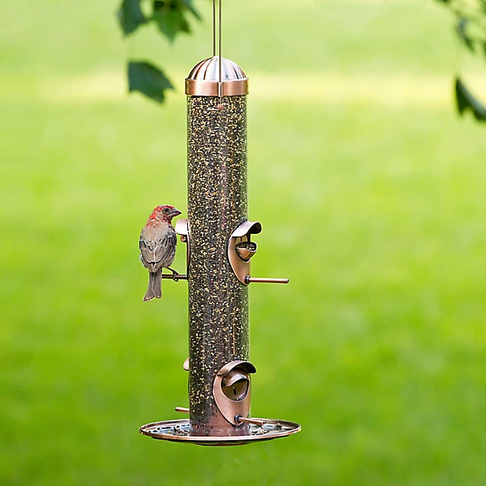 Perky-Pet® Copper Finish 2-in-1 Wild Bird Feeder 4 Perky-Pet® Copper Finish 2-in-1 Wild Bird Feeder - Image 4