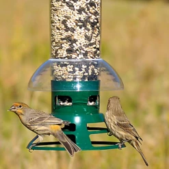 Perky-Pet® Squirrel Slammer Wild Bird Feeder -birds Shop bf us 5141 2 3