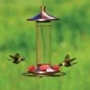 Perky-Pet® Elegant Copper Glass Hummingbird Feeder