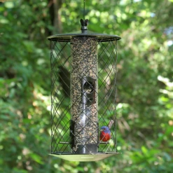 Perky-Pet® The Preserve Wild Bird Feeder -birds Shop bf us 735 2