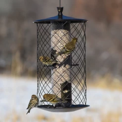 Perky-Pet® The Preserve Wild Bird Feeder -birds Shop bf us 735 3
