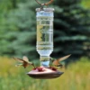 Perky-Pet® Clear Antique Glass Bottle Hummingbird Feeder - 10 Oz Nectar Capacity