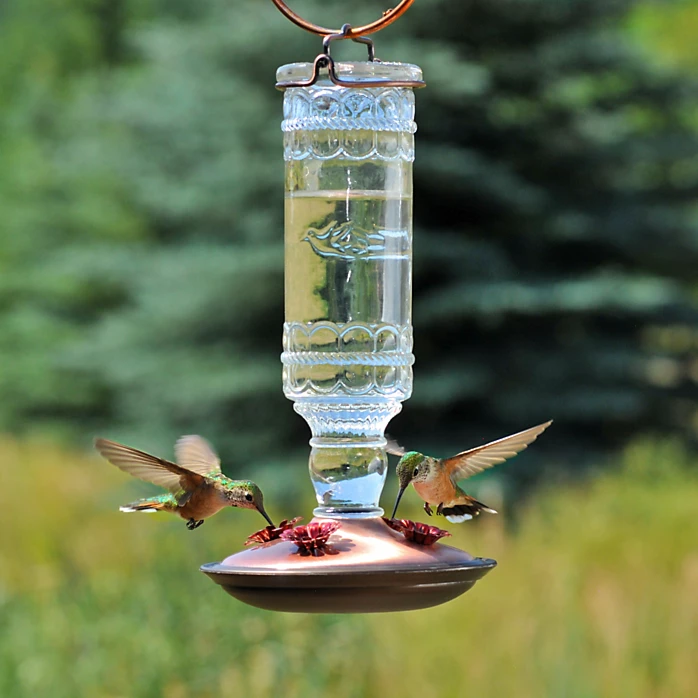 Perky-Pet® Clear Antique Glass Bottle Hummingbird Feeder - 10 Oz Nectar Capacity 1 Perky-Pet® Clear Antique Glass Bottle Hummingbird Feeder - 10 Oz Nectar Capacity