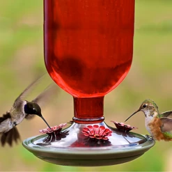 Perky-Pet® Red Antique Glass Bottle Hummingbird Feeder -birds Shop bf us 8109 2 3