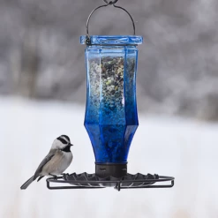 Perky-Pet® Sapphire Starburst Vintage Glass Bird Feeder -birds Shop bf us 8138 2 5