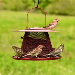 Perky-Pet® Red Cardinal Wild Bird Feeder