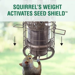 Perky-Pet® Squirrel-Be-Gone Max Pinecone Bird Feeder With Flexports® -birds Shop bf us sbg101 info 4 1
