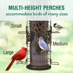 Perky-Pet® Squirrel-Be-Gone Max Pinecone Bird Feeder With Flexports® -birds Shop bf us sbg101 info 5 1